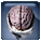 psychology