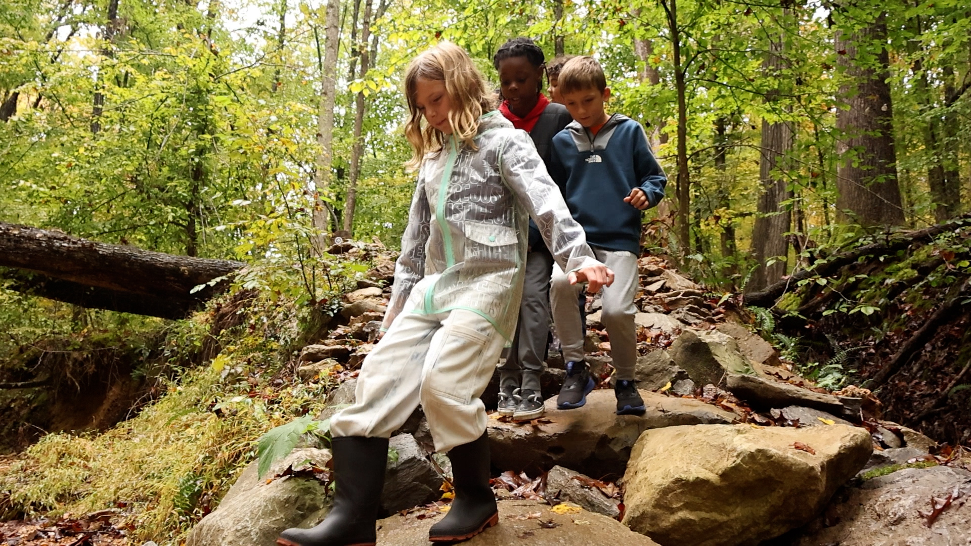 Children walking through nature