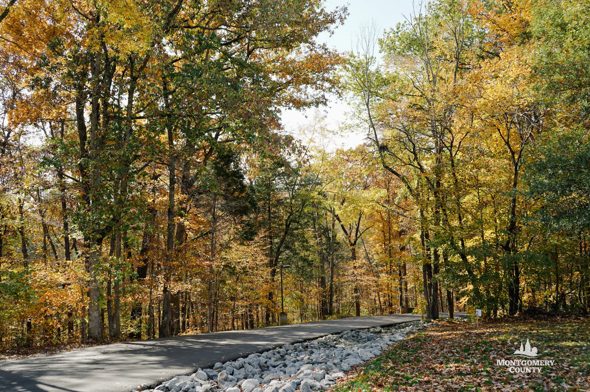 Wooden walking path through Rotary Park